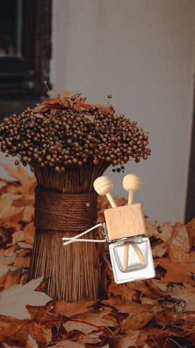 Autumn Car Vent Diffuser