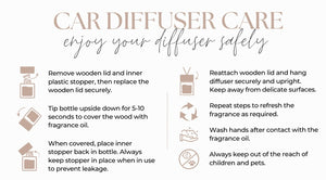 Hanging Car Diffuser