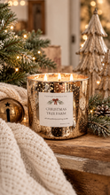 Load image into Gallery viewer, 3 Wick Soy Candle - Mercury Glass